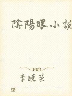 阴阳眼小说