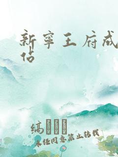 新宁王府成人网站