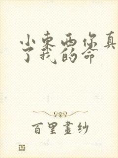 小东西你真能要了我的命