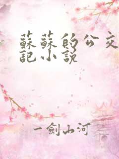 苏苏的公交车日记小说