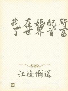 我在婚配所摇到了世界首富小说