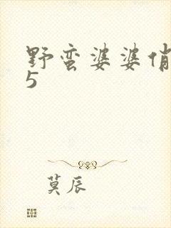 野蛮婆婆俏媳妇5