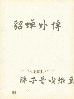 貂蝉外传