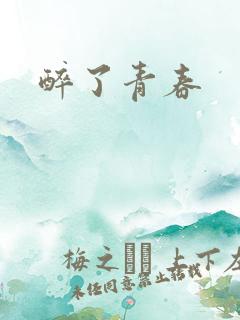 醉了青春