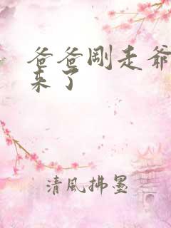 爸爸刚走爷爷就来了