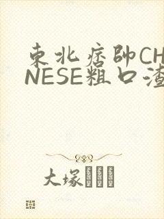 东北痞帅CHINESE粗口渣男