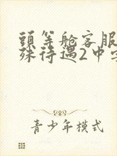 头等舱客服的特殊待遇2中字