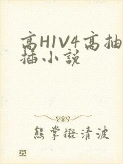 高H1V4高抽插小说