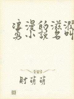 浪漫的滋润刘大勇小说名叫什么?