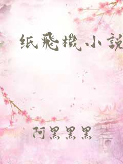 纸飞机小说