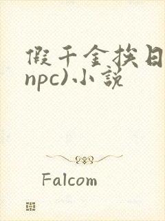 假千金挨日记(npc)小说
