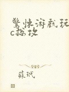 惊悚游戏玩npc总攻