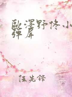 欧泽野佟小曼无弹屏