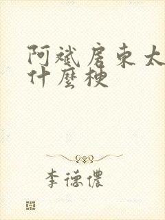 阿斌房东太太是什么梗