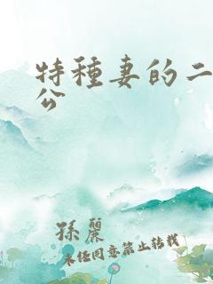 特种妻的二手老公