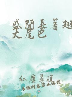 盛开长着翅膀的大尾巴