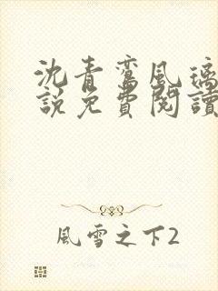 沈青鸾风璃宸小说免费阅读