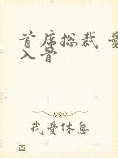 首席总裁 爱你入骨