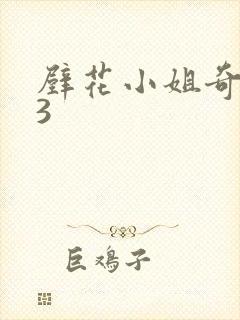 壁花小姐奇遇记3