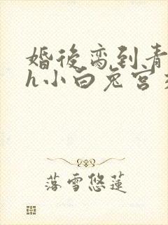 婚后脔到青梅哭h小白兔宫交h