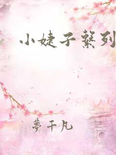 小婕子系列小说