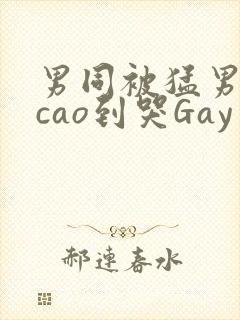 男同被猛男房东cao到哭Gay