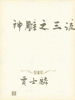 神雕之三流