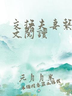 交换夫妻系列全文阅读