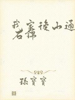 我家后山通仙界石锦