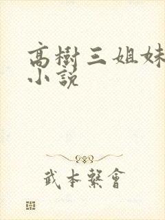 高树三姐妹有声小说