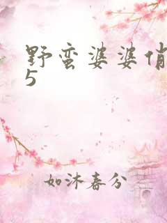 野蛮婆婆俏媳妇5