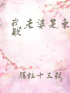 我老婆是东方不败