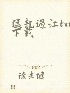 猛龙过江txt下载