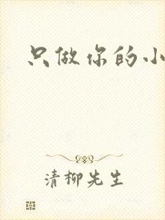 只做你的小软糖