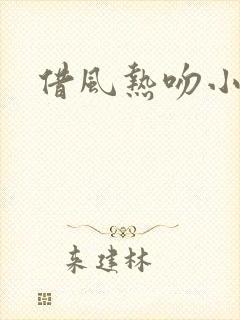 借风热吻小神明