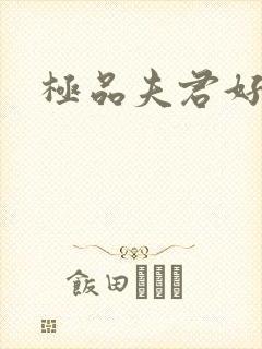 极品夫君好又多