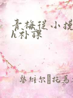 青梅从小摸到大h补课