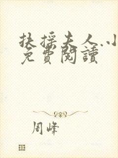 扶摇夫人.小说免费阅读