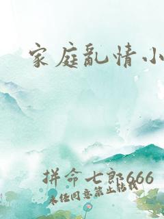 家庭乱情小说