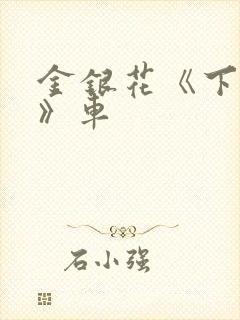 金银花《下厨房》车