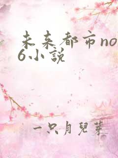 未来都市no.6小说