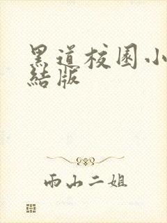 黑道校园小说完结版