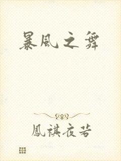 暴风之舞