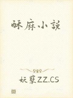 酥麻小说
