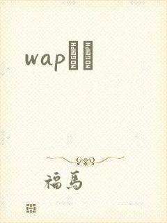 wapС˵