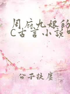 周府九娘的NPC古言小说叫什么