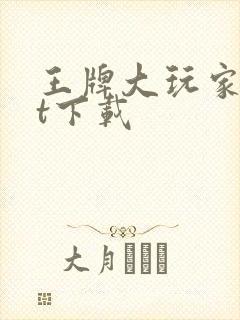 王牌大玩家txt下载