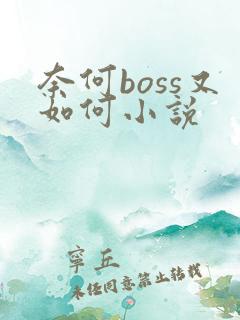 奈何boss又如何小说