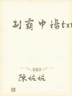 制霸中场txt