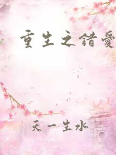 重生之错爱
